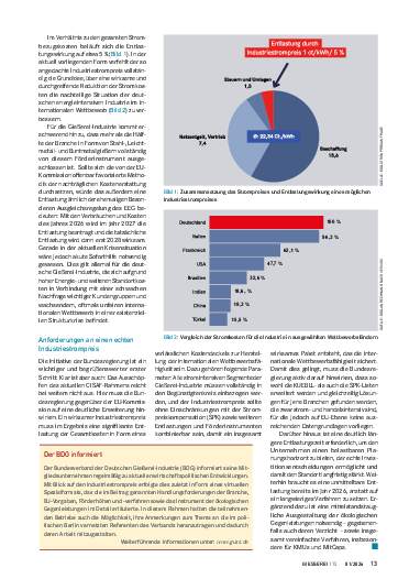 Ausgabe 1 (2026) Seite 13