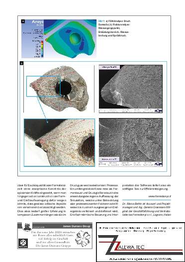 Ausgabe 1 (2026) Seite 53