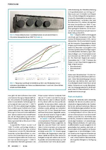 Ausgabe 10 (2024) Seite 30