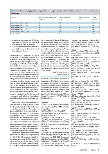 Ausgabe 10 (2024) Seite 31