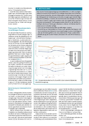 Ausgabe 10 (2025) Seite 35