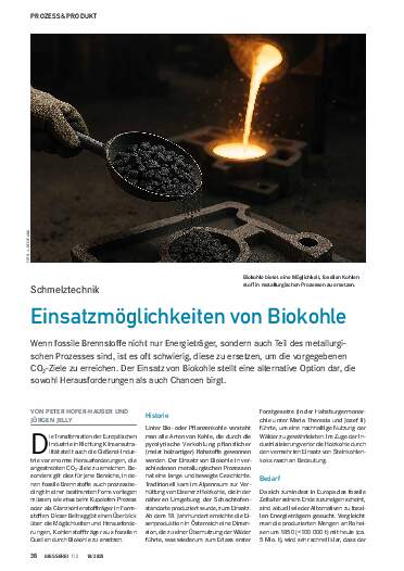 Ausgabe 10 (2025) Seite 38