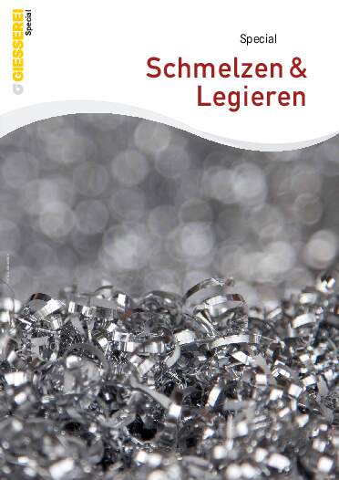 Ausgabe 10 (2026) Seite 19