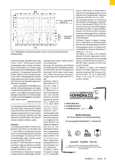 Ausgabe 10 (2026) Seite 31