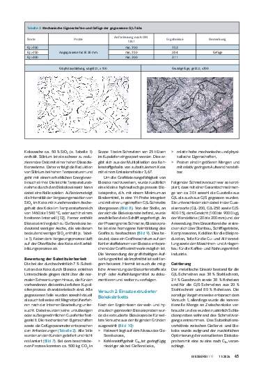 Ausgabe 11 (2024) Seite 45