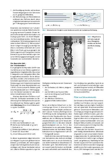 Ausgabe 11 (2024) Seite 51