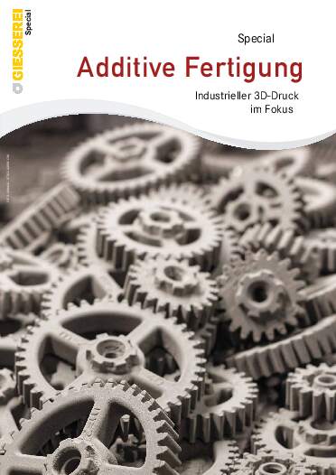 Ausgabe 11 (2025) Seite 17