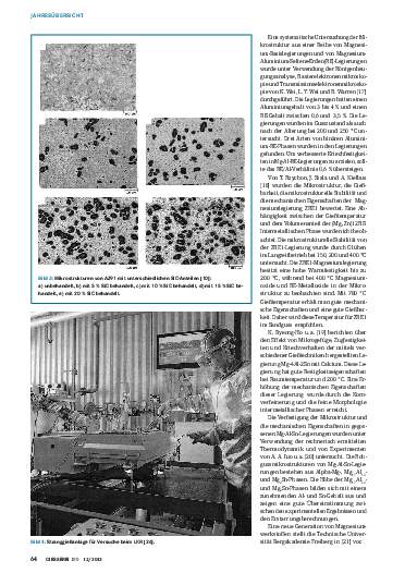 Ausgabe 12 (2013) Seite 64