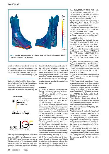 Ausgabe 12 (2024) Seite 38