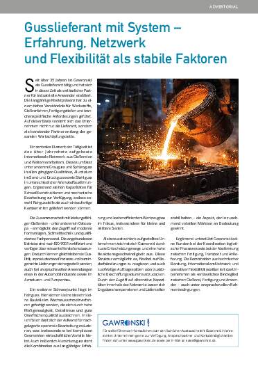 Ausgabe 2 (2026) Seite 31