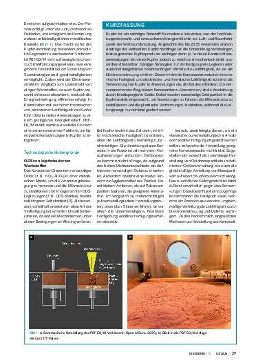 Ausgabe 3 (2026) Seite 39