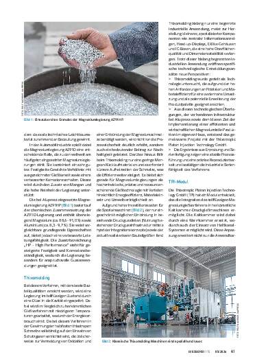 Ausgabe 5 (2026) Seite 41