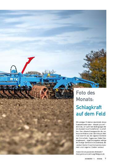 Ausgabe 5 (2026) Seite 7