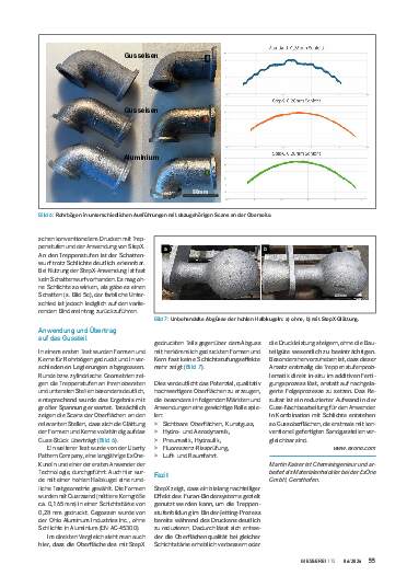 Ausgabe 6 (2026) Seite 55