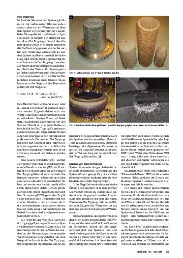 Ausgabe 8 (2013) Seite 55
