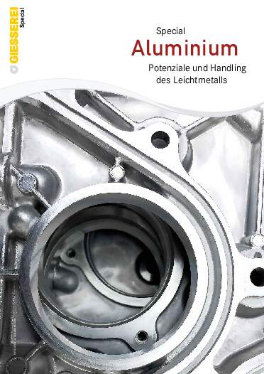 Ausgabe 9 (2025) Seite 17