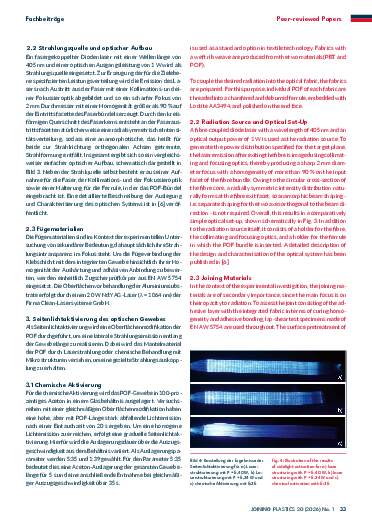 Ausgabe 1 (2026) Page 33