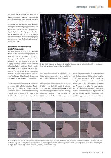 Ausgabe 11 (2025) Seite 31