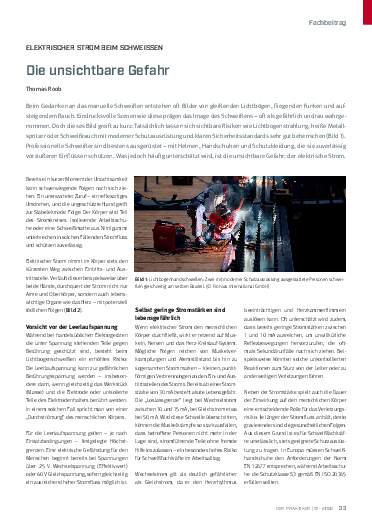 Ausgabe 11 (2025) Seite 33