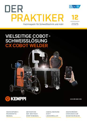 Ausgabe 12 (2025) Seite 1