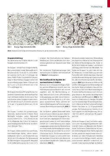 Ausgabe 5 (2026) Seite 41