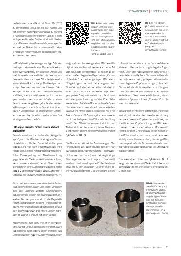 Ausgabe 6 (2025) Seite 31