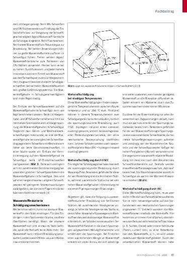 Ausgabe 7-8 (2024) Seite 61