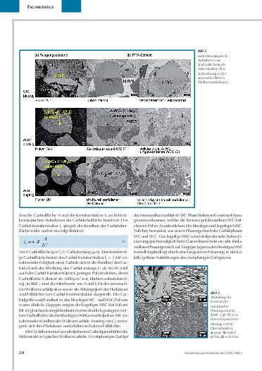 Ausgabe 1-2 (2010) Seite 20