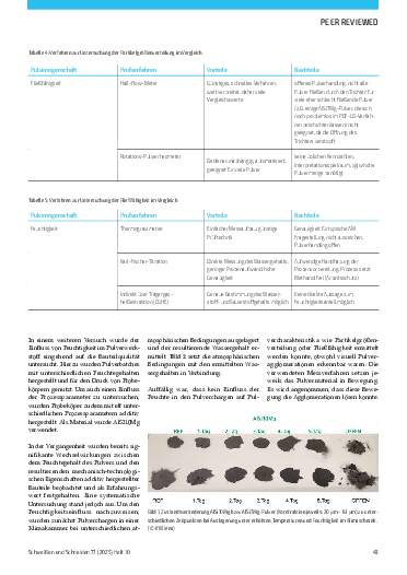 Ausgabe 10 (2025) Seite 43