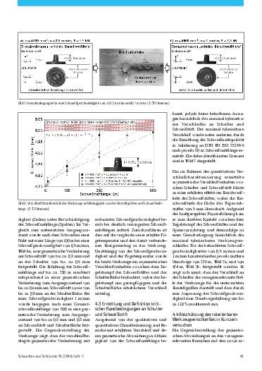 Ausgabe 11 (2024) Seite 45