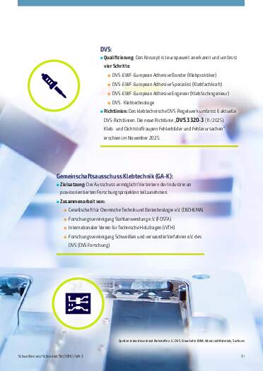 Ausgabe 3 (2026) Seite 31