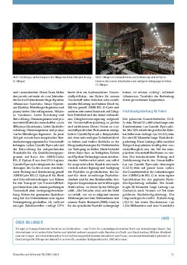 Ausgabe 6 (2026) Seite 31