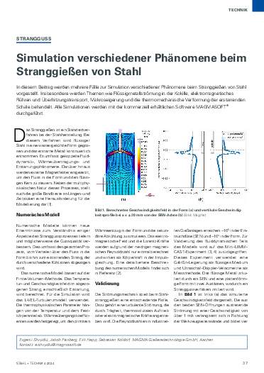 Ausgabe 4 (2024) Seite 37