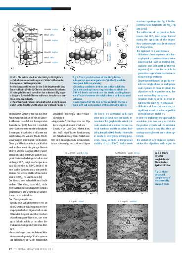 Ausgabe 1 (2011) Jahrgang 4 Page 22