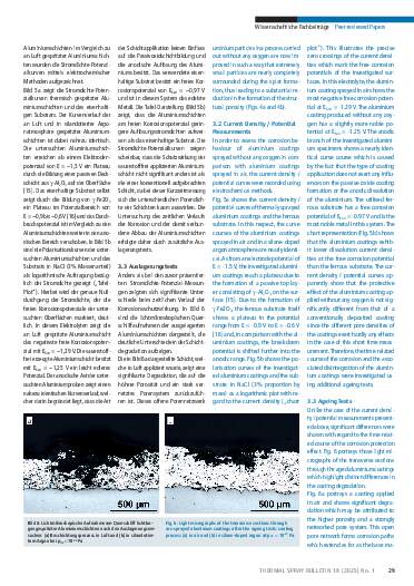 Ausgabe 1 (2025) Seite 29