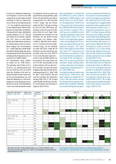 Ausgabe 1 (2025) Seite 45