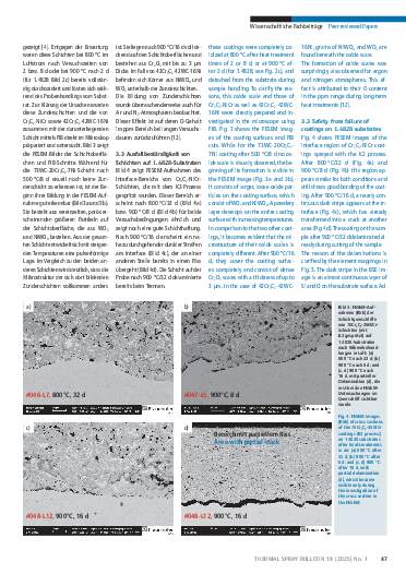 Ausgabe 1 (2025) Seite 47