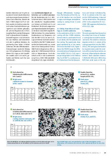 Ausgabe 1 (2025) Seite 49