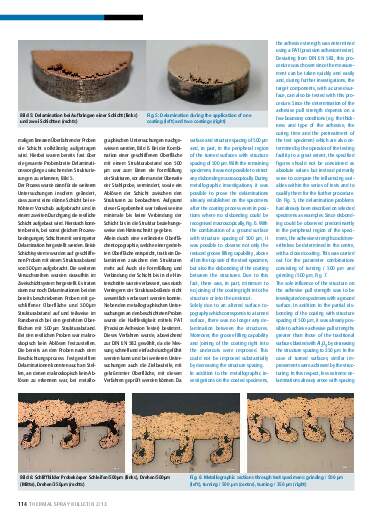 Ausgabe 2 (2013) Jahrgang 6 Page 114