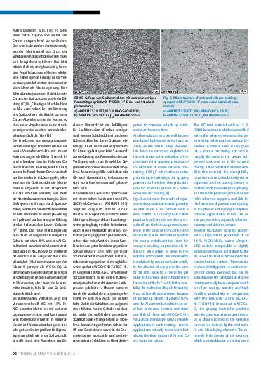 Ausgabe 2 (2013) Jahrgang 6 Page 96