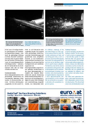 Ausgabe 2 (2025) Seite 81