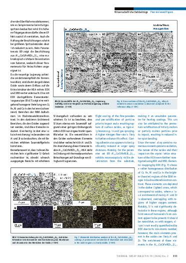 Ausgabe 2 (2026) Seite 111