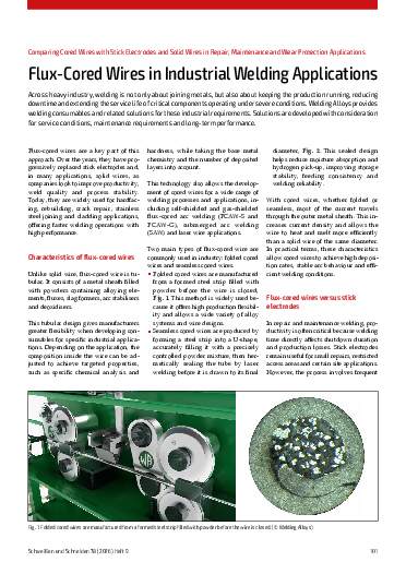 Issue 2 (2026) Page 101