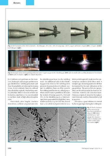 Issue 4 (2010) Page 205