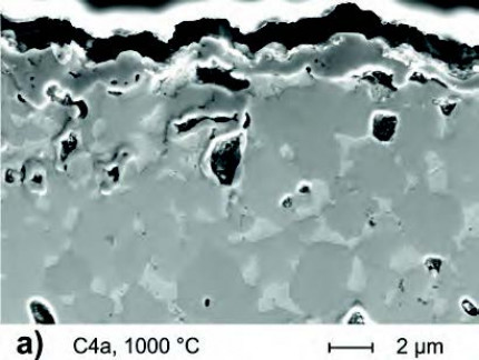 Development of cost-effective hardmetal coating solutions for high-temperature applications Part two: Effect of heat treatment and tribological properties